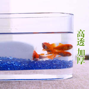 促加厚桌面透明玻璃花瓶水培长方形水养植物容器创意鱼缸造景花瓶