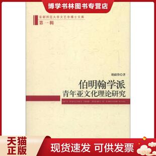 正版现货9787516119280伯明翰学派青年亚文化理论研究 胡疆锋 中国社会科学出版社