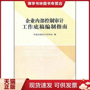 正版现货9787509532584企业内部控制审计工作底稿编制指南  中国注册师协会  中国财政经济出版社