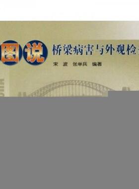 正版现货9787114065170图说桥梁病害与外观检查  宋波、张举兵  人民交通出版社