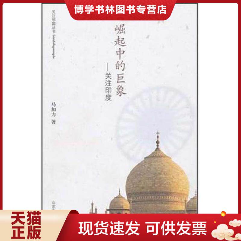 正版现货9787560741970崛起中的巨象 关注印度 二手书实拍图  马加力著  山东大学出版社