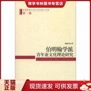 正版现货9787516119280伯明翰学派青年亚文化理论研究 胡疆锋 中国社会科学出版社