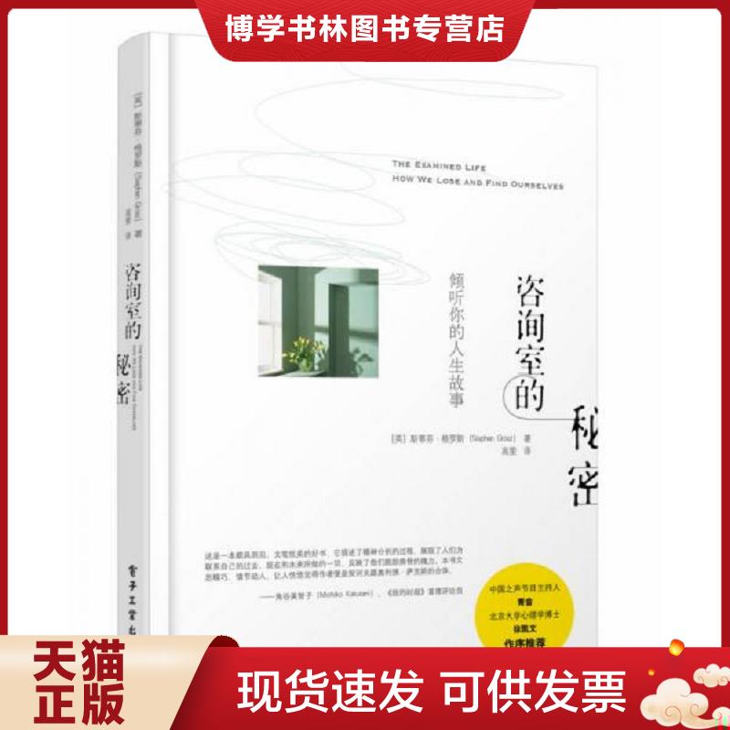 正版现货9787121220531咨询室的秘密：倾听你的人生故事  StephenGrosz（斯蒂芬格罗斯）著,高雯译  电子工业出版社