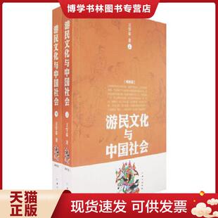 正版现货9787807163602游民文化与中国社会 下  王学泰著  北京日报出版社（原同心出版社）
