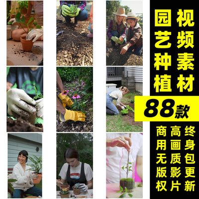 无版权视频园艺种植栽培素材可商用盆栽花园打理视频抖音剪辑素材