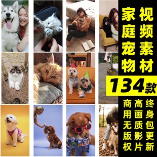 猫狗视频可商用视频素材高清画质横竖屏家庭萌宠宠物兔子剪辑原片