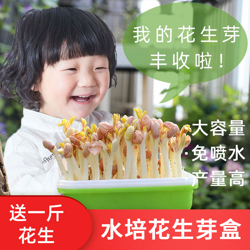 水培花生芽菜盒子水培箱筐发芽神器蔬菜种植专用盘种花生芽的工具在类目 鲜花速递/花卉仿真/绿植园艺, 园艺用品, 育苗盘/营养钵中 - 来自Buy2taobao.com提供专业的淘宝代购服务