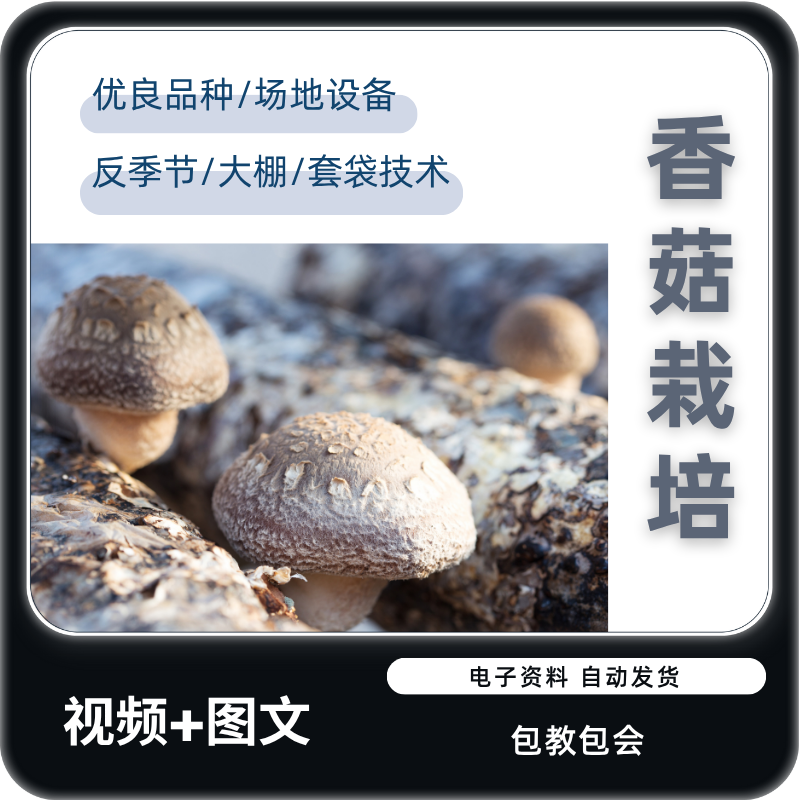 香菇高产栽培技术食用菌标准化种植菌培训段木袋料反季节视频教程