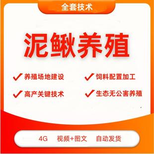 养泥鳅技术人工高效生态饲养殖饲料配置繁殖育苗全套网箱稻田病害