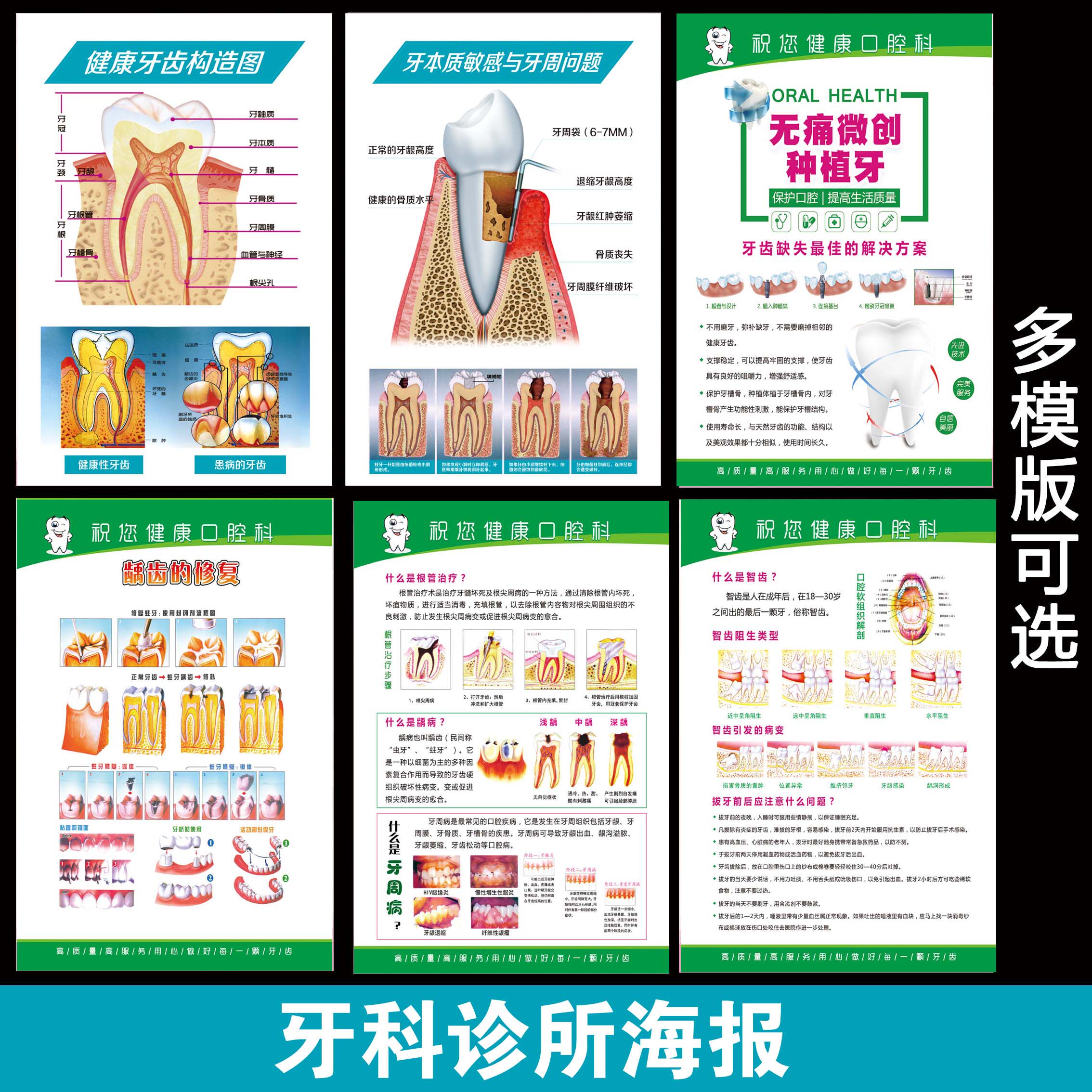 牙科口腔科诊所门诊海报知识宣传画广告大挂图展板烤瓷牙齿解剖图