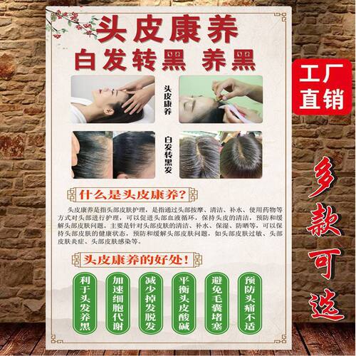 白转黑海报养发馆装饰画生发育发脱发广告毛发结构图植发宣传挂画