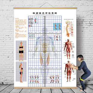 体态评估图健身房体测表瑜伽私教站姿形体脊椎修复身体装饰挂画布