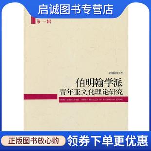 正版现货直发伯明翰学派-青年亚文化理论研究-第一辑 胡疆锋 著 9787516119280 中国社会科学出版社