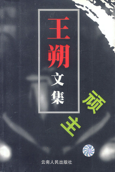 王朔文集:顽主 王朔 著 云南人民出版社 9787222034044 正版现货直发