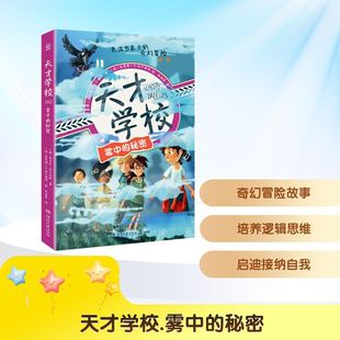 天才学校雾中的秘密西尔克·舍尔哈默儿童文学少儿湖南文艺出版社