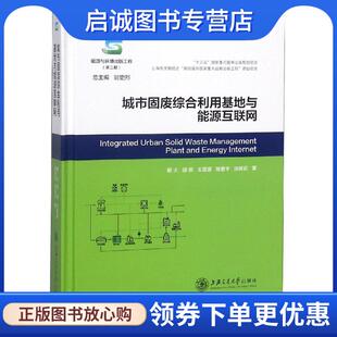 邰俊 王瑟澜 上海交通大学出版 现货直发城市固废综合利用基地与能源互联网 社 9787313195814 解大 张延迟 正版 陈善平