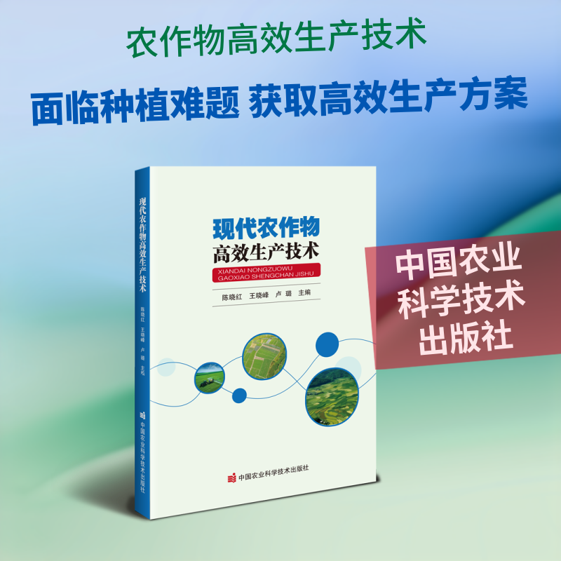 现代农作物高效生产技术陈晓红,王晓峰,卢璐农业科学专业科技中国农业科学技术出版社9787511678515