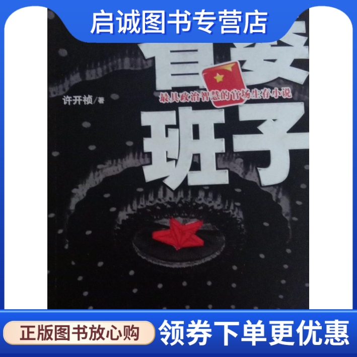 正版现货直发省委班子9787539938165许开桢,江苏文艺出版社
