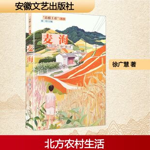 麦海徐广慧 著中国现当代文学文学安徽文艺出版社