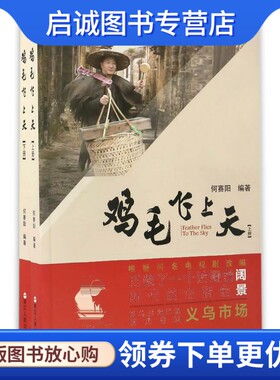 正版鸡毛飞上天,何赛阳,浙江人民出版社9787213079481
