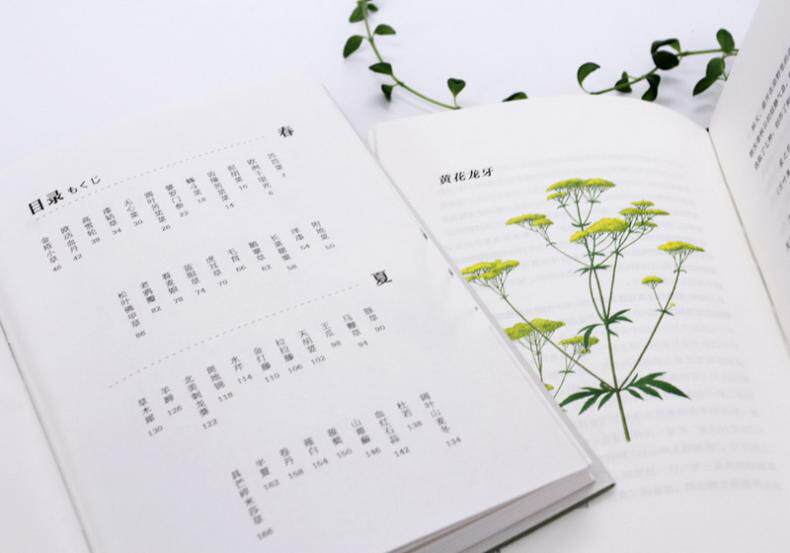 正版杂草记 (日)柳宗民 著,烨伊,虞辰,曹逸冰 译 四川文艺出版社 9787541145711