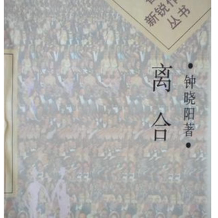 正版现货直发 离合钟晓阳著漓江出版社9787540720032