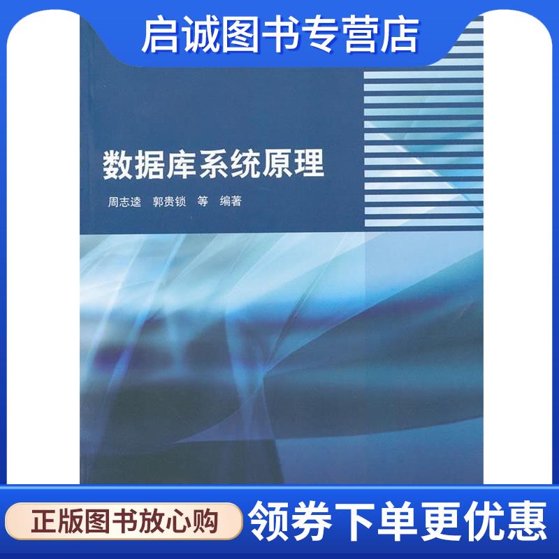 正版现货直发数据库系统原理 周志逵　等编著 9787302186267 清华大学出版社