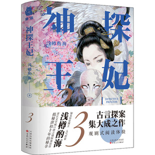 神探王妃 3浅樽酌海中国科幻,侦探小说文学百花文艺出版社