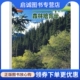 中国林业出版 沈国舫 社9787503828430 现货直发森林培育学 正版