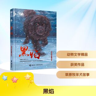 黑焰格日勒其木格·黑鹤儿童文学少儿接力出版社