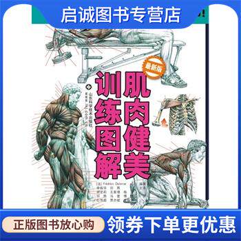 正版现货直发肌肉健美训练图解-新版 (法)德拉威尔　著,李振华　译 9787533158842 山东科学技术出版社
