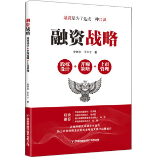 上市管理史林东 并购策略 王天才经济理论 法规经管 社有限公司 融资战略 励志中国财富出版 股权设计