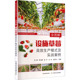 主编种植业专业科技中国农业出版 等 社9787109337848 及实战案例宗静 全图解设施草莓高效生产模式