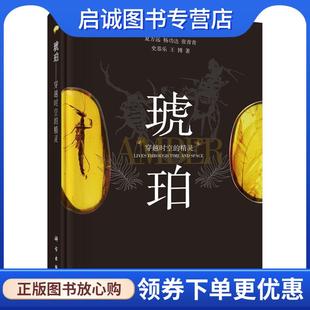 史恭乐 现货直发琥珀 杨功达 正版 王博 科学出版 精灵 9787030441003 穿越时空 社 夏方远 著 张青青