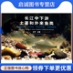 社 正版 上海科学技术出版 庄平 9787547821152 现货直发长江中下游土著和外来鱼类