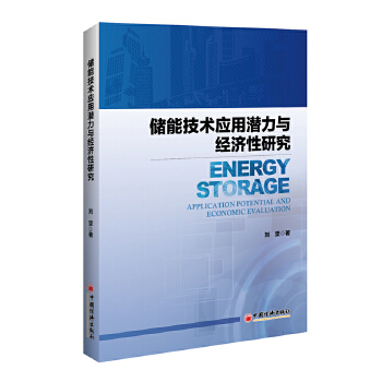 储能技术应用潜力与经济性研究 刘坚 著, 9787513643665 中国经济出版社 正版现货直发