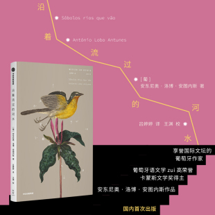 著外国现当代文学文学中信出版 沿着流过 安东尼奥·洛博·安图内斯 葡 社 河水