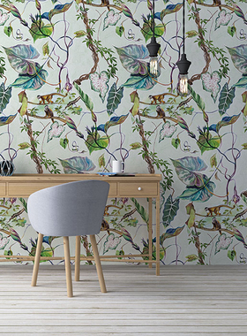 荷兰原装进口壁画 Checking Out Nature 绿野仙踪 丛林猴子墙纸