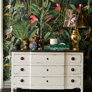 MIND THE GAP原装进口墙纸壁纸 ARROTS OF BRASIL 鹦鹉 丛林背景