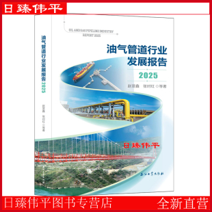 油气管道行业发展报告2025 石油工业出版社