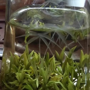 2025安徽黄山绩溪农家自产明前嫩芽手工毛峰绿茶250克袋装新茶叶