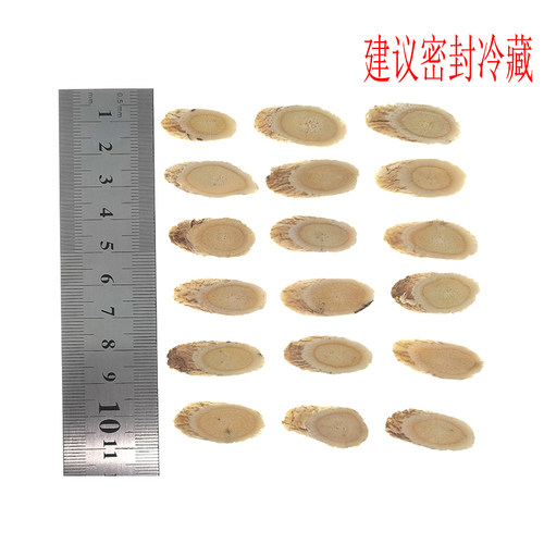 食鉴本草优选 黄芪 大片 新货 甘肃产 金井玉兰 干净 香甜 300g