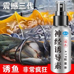 神口钓鱼小药神经诱导素黑坑野钓