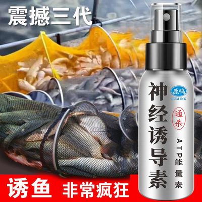 神口钓鱼小药神经诱导素黑坑野钓