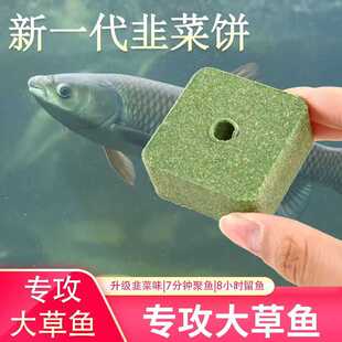 草鱼窝料韭菜方块饵料黑坑野钓水库专攻大草鱼饵韭菜饼打窝诱鱼饼