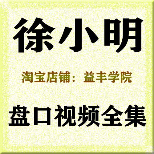 徐小明盘口视频全集　股票T+0技术