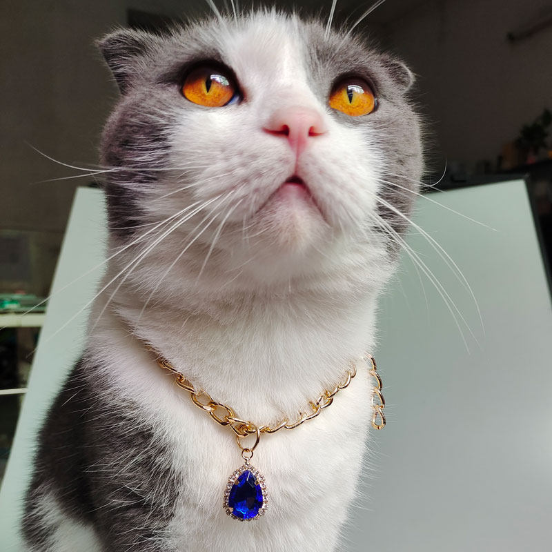 宠物猫咪狗狗金属项链吊坠宝石