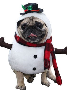 新款宠物猫咪圣诞节衣服小狗白色雪人斗篷变身装搞怪万圣节饰品