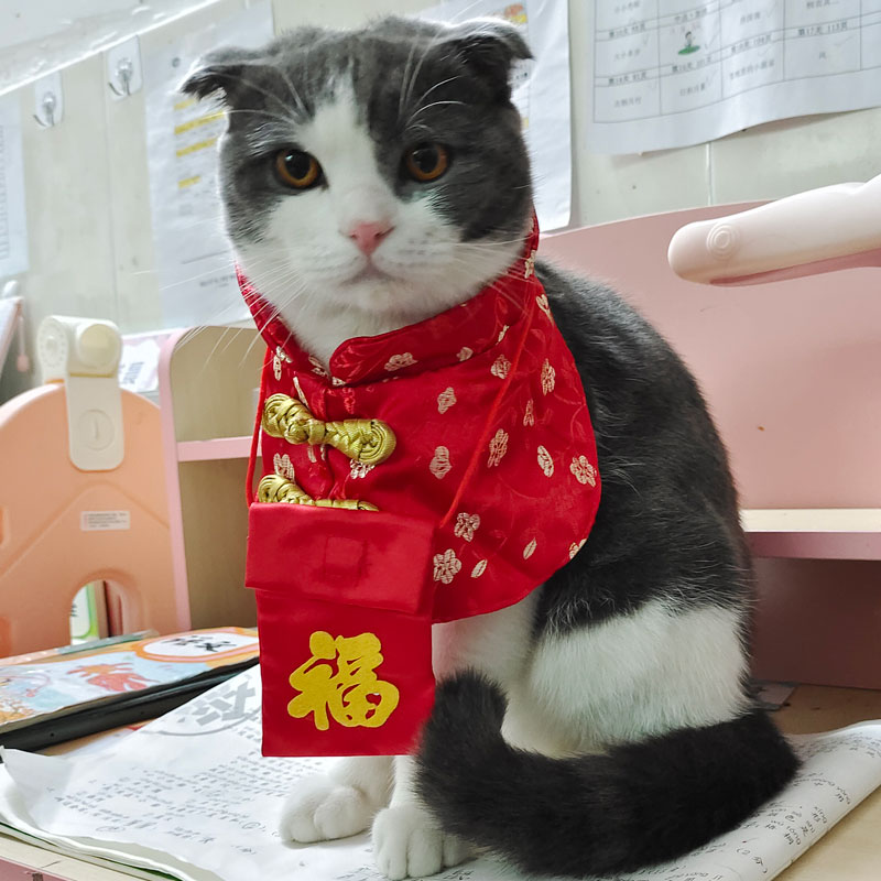 喜庆公主款狗狗猫咪新年唐装披风