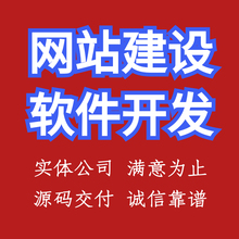 软件开发定制公司官网企业网站建设程序代做网页设计商城模板开发